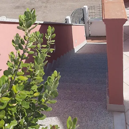 Casa Viola *